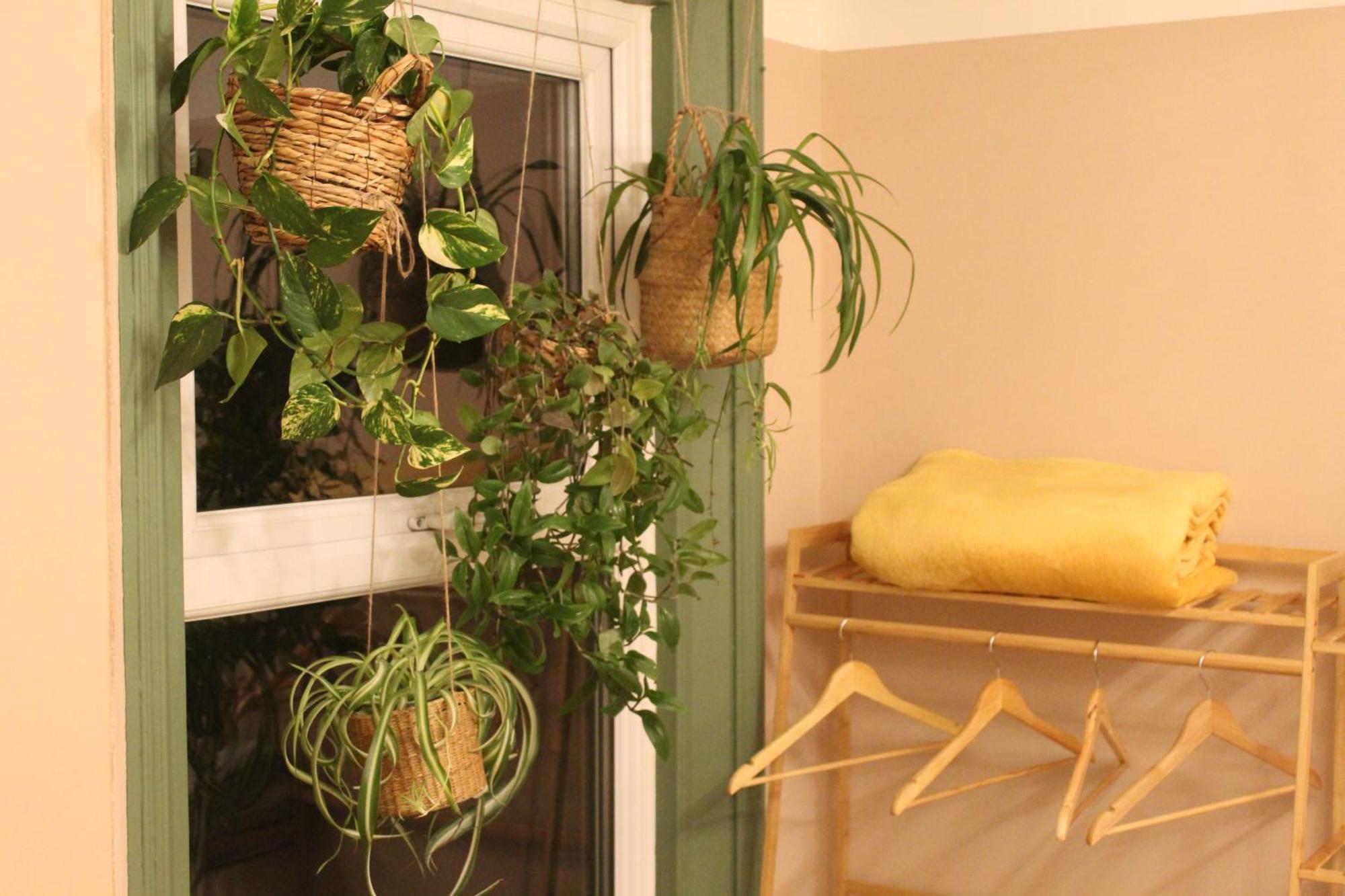 Peacehaven Retreat - 4 Minutes From The Beach! Pet Friendly! 웨이머스만 외부 사진